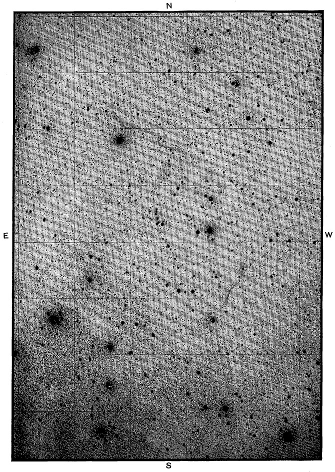 Plate 15