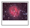 IC 5146