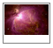 Great Orion Nebula (M42)