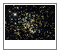 NGC 2682