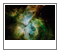 eta Carinae