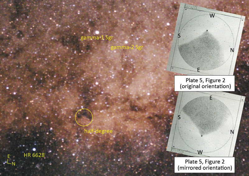 Plate 5 Fig 2 on a photo