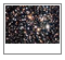 NGC 6694
