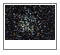 Wild Duck Cluster (M11)