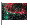 NGC 6995